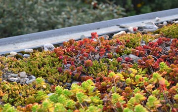 the cost of Budletts Common green roof installation
