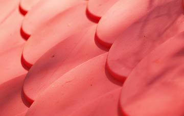 Budletts Common plastic roof costs