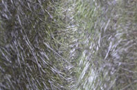 Budletts Common fibreglass roof work